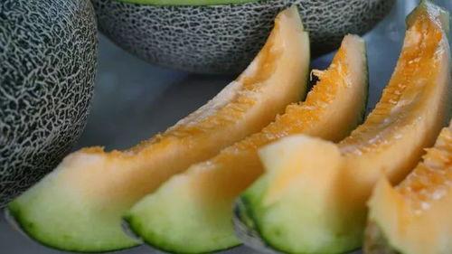 带你吃瓜奇葩夏天,带你领略那些“吃瓜”奇葩事件