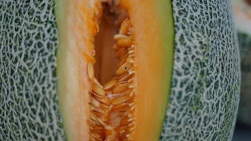 带你吃瓜奇葩夏天,带你领略那些“吃瓜”奇葩事件