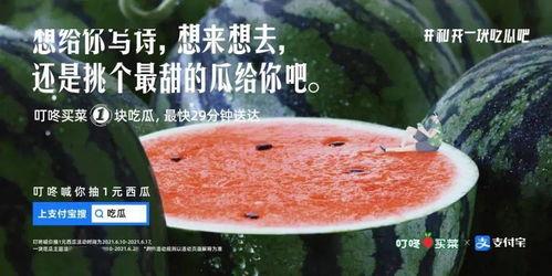 挖着吃瓜的文案,揭秘娱乐圈幕后故事