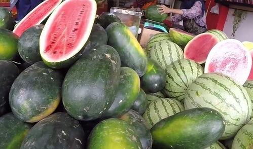 中国网吃瓜,揭秘网络“吃瓜”文化背后的现象与影响