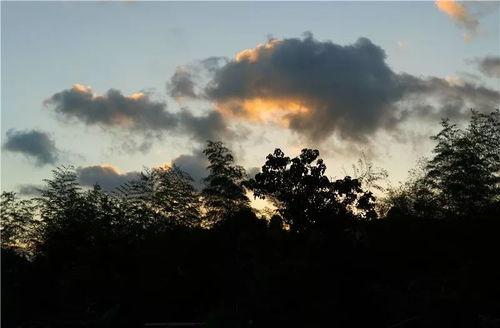 雾中吃瓜,一场别开生面的美食体验之旅