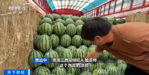 襄汾吃瓜,揭秘当地特色美食背后的故事