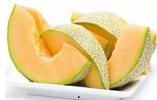 西域高僧吃哈密瓜,千年传承的瓜果传奇