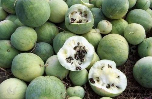 吃瓜丹丹,揭秘娱乐圈背后的那些事儿