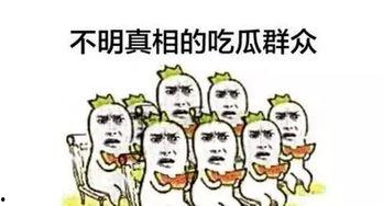 精神的吃瓜群众,网络时代的独特现象