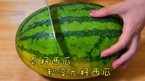 你们是有多喜欢吃瓜