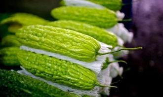 吃瓜怎么特别快,揭秘吃瓜界的“闪电侠”