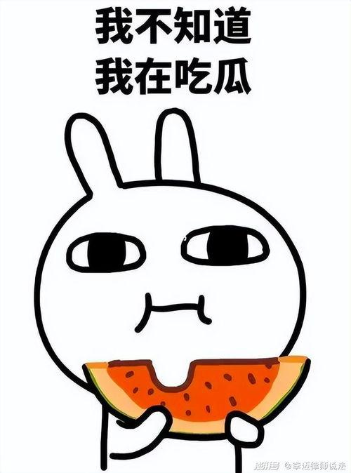 吃瓜q去吧,网络热点的幕后故事