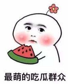 吃瓜q去吧,网络热点的幕后故事