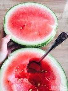 草莓吃瓜全文,一场甜蜜与幽默交织的美食冒险之旅