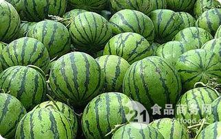 吃瓜网的邢台瓜,揭秘吃瓜网上的热门话题与幕后故事