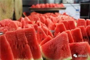 吃瓜网的邢台瓜,揭秘吃瓜网上的热门话题与幕后故事