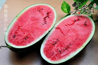 吃西瓜看瓜,从吃瓜看瓜的奇妙体验