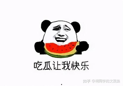 小胖吃瓜文案短句,笑料连连，短句盘点