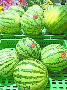 武汉的吃瓜,探寻这座城市的美食奥秘