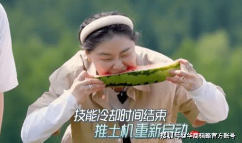 小月要努力吃瓜,努力吃瓜，收获成长