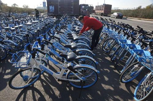 哈啰上车吃瓜活动,夏日炎炎趣味十足