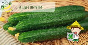 吃瓜交流配将,探寻配将之道