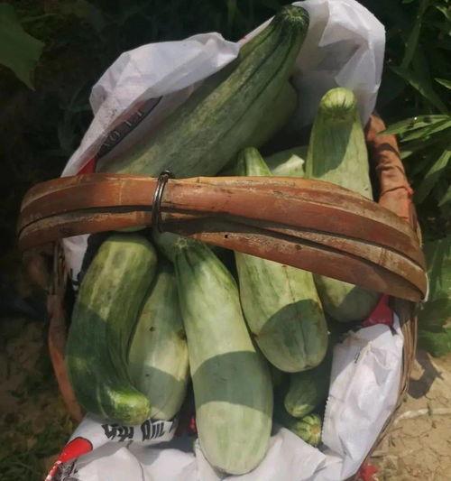 吃瓜群带货,揭秘网红直播背后的带货秘密